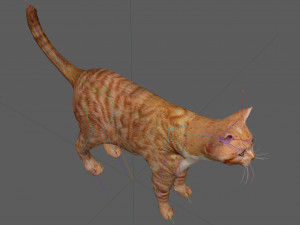 Orange Cat Tabby Modello 3D