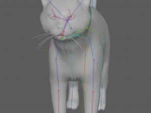 Orange Cat Tabby Modello 3D
