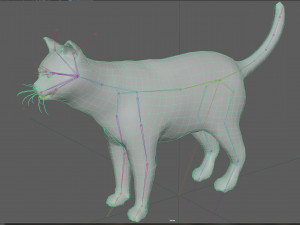 Orange Cat Tabby Modello 3D