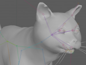 Orange Cat Tabby Modello 3D