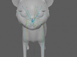 Cartoon Cat 3D Model