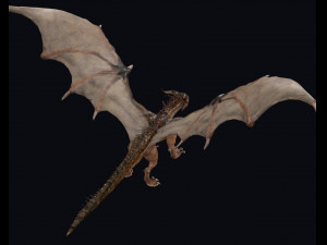 Big Ancient Dragon Model 3D
