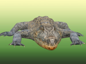 Crocodile Rig Modelo 3D