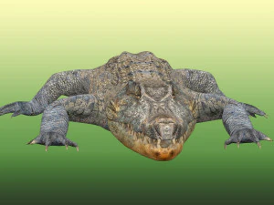 Crocodile Rig 3D Model