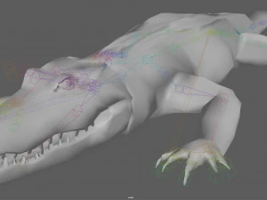 Crocodile Rig 3D Model