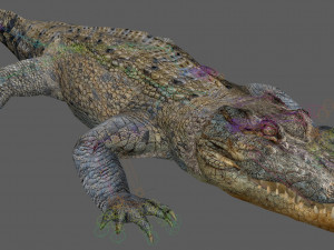 Crocodile Rig Modelo 3D