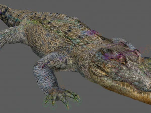 Crocodile Rig 3D Model