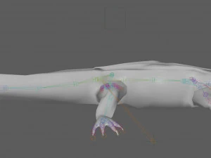 Crocodile Rig 3D Model