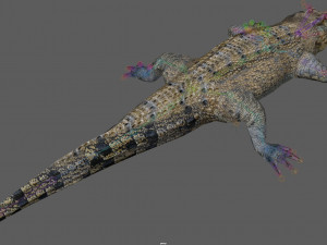 Crocodile Rig Modelo 3D