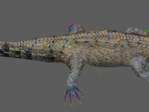Crocodile Rig 3D Model