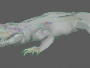 Crocodile Rig 3D Model