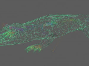 Crocodile Rig 3D Model