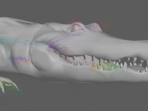 Crocodile Rig 3D Model