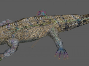 Crocodile Rig Modelo 3D