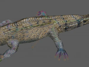 Crocodile Rig 3D Model