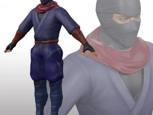 Ninja Warrior Rig 3D Model