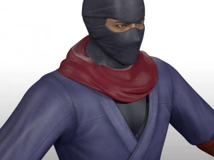 Ninja Warrior Rig 3D Model