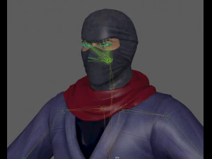 Ninja Warrior Rig 3D Model