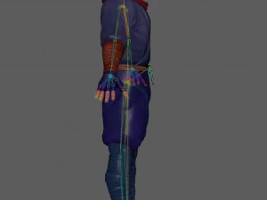 Ninja Warrior Rig 3D Model