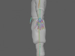 Ninja Warrior Rig 3D Model