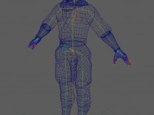 Ninja Warrior Rig 3D Model