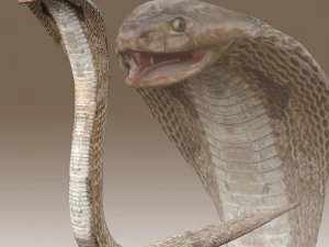 キングコブラリグ 3Dモデル