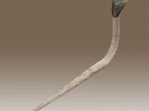 Установка &laquo;Королевская кобра&raquo; 3D Модель