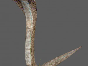 Установка &laquo;Королевская кобра&raquo; 3D Модель