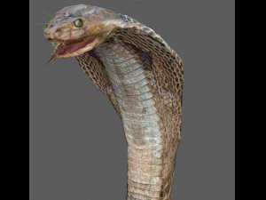 Установка &laquo;Королевская кобра&raquo; 3D Модель