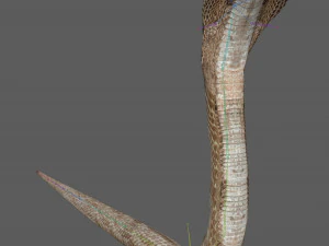 Установка &laquo;Королевская кобра&raquo; 3D Модель