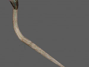 Установка &laquo;Королевская кобра&raquo; 3D Модель