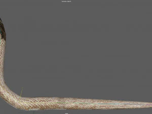 Установка &laquo;Королевская кобра&raquo; 3D Модель