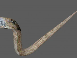 Установка &laquo;Королевская кобра&raquo; 3D Модель