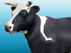 Cow Low poly Rig 3D 模型