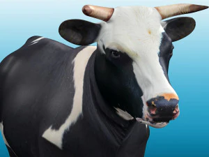 Vaca Low Poly Rig Modelo 3D