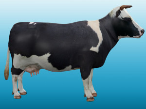 Cow Low poly Rig 3D 模型