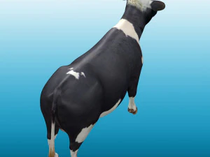 Vaca Low Poly Rig Modelo 3D