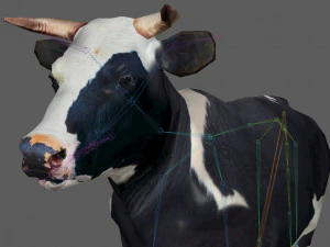 Vaca Low Poly Rig Modelo 3D