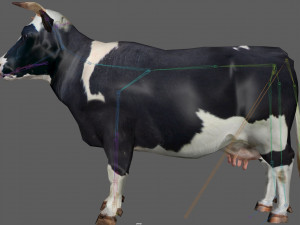Cow Low poly Rig 3D 模型