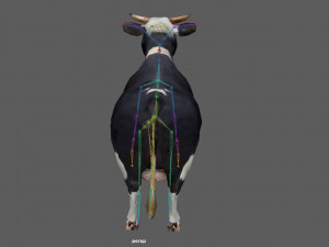 Cow Low poly Rig 3D 模型