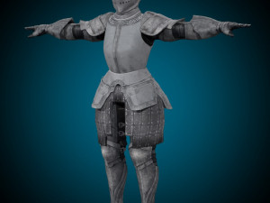 Templar Knight Rig Modello 3D