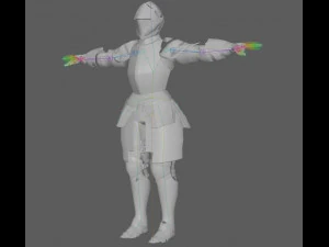 Templar Knight Rig 3D Model