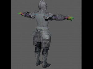 Templar Knight Rig Modello 3D