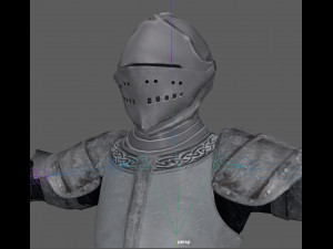 Templar Knight Rig Modello 3D