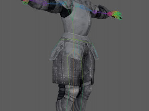 Templar Knight Rig Modello 3D