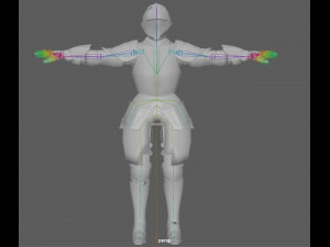 Templar Knight Rig Modello 3D