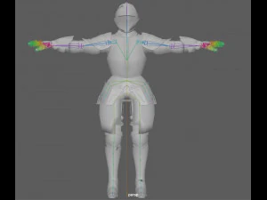 Templar Knight Rig 3D Model