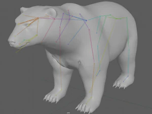 Kutup Ayısı Te&ccedil;hizatı 3D Model