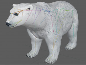Polar Bear Rig 3D Model
