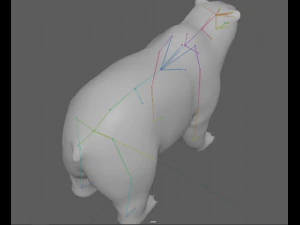 Kutup Ayısı Te&ccedil;hizatı 3D Model